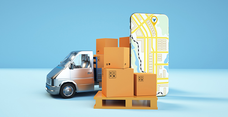 Domestic Transport